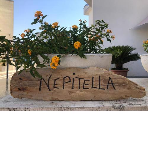 NEPITELLA Casa Vacanze