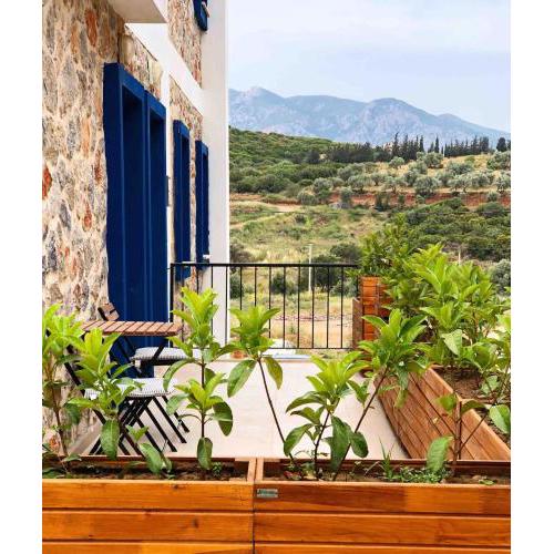 Ness House Datca - Big Veranda and Backyard