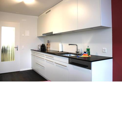 Nest - Baarerstrasse 45