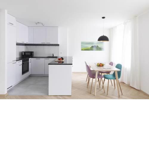 Nest Temporary AG - Apartments an der Badenerstrasse