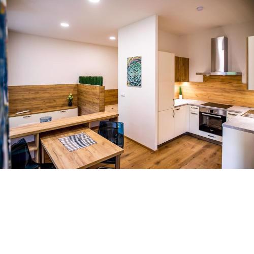 Nest Vibe Slovákova