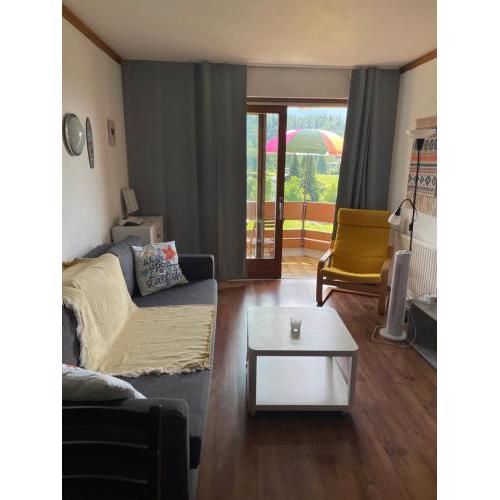 Nette Ferienwohnung in Seenähe