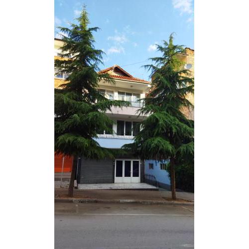 New Apartament