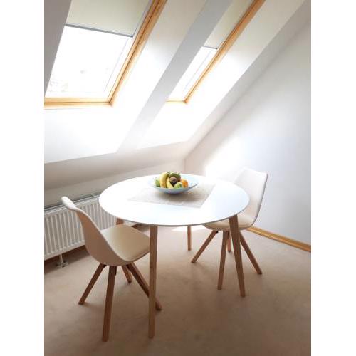 NEW Attic Apartment Modern Design