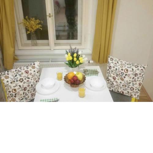 New Beautiful Apartment in City Center