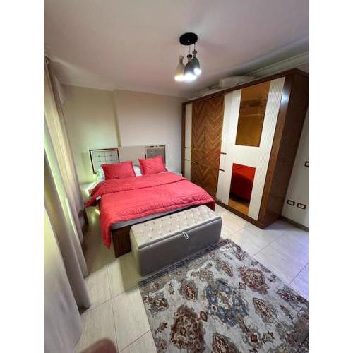 New cozy apartment in Mohandseen