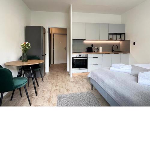 New cozy studio, private parking