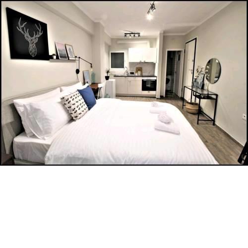 {NEW} Luxury and stylish studio