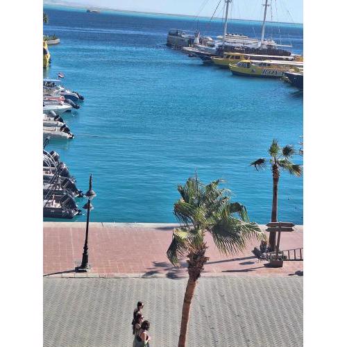 new marina . your best choice for family