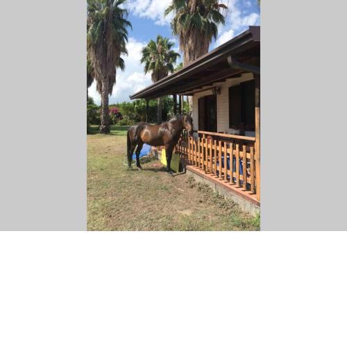 New Ranch Club Bungalow 2, 3 min del mar