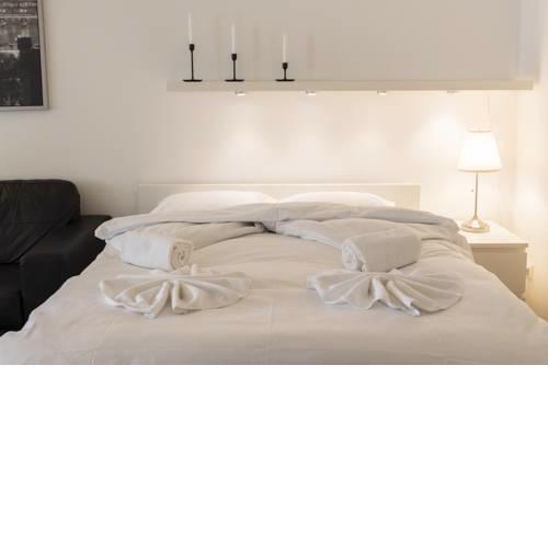 New renovated modern furnished apartment downtown