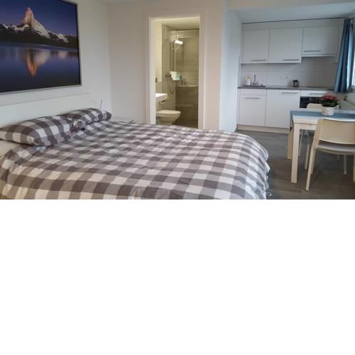 Newly Furnished Studio with Lake View
