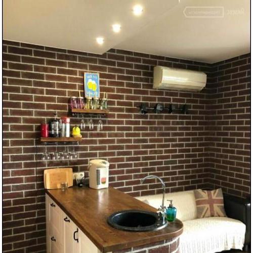 Newly renovated 1-bed apartment