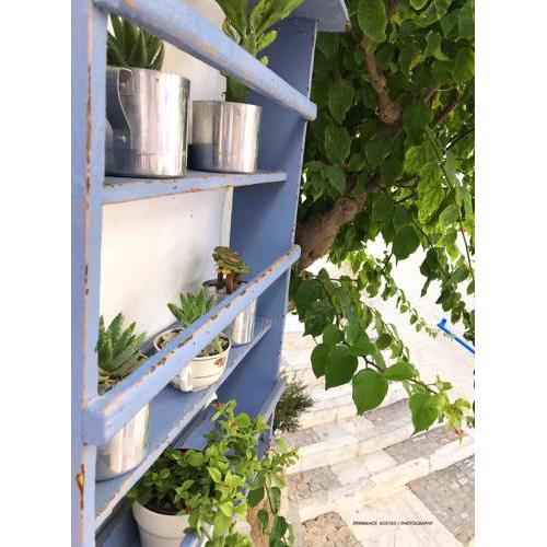 Next to the Bougainvillea!