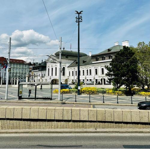 Next to the Presidential Palace