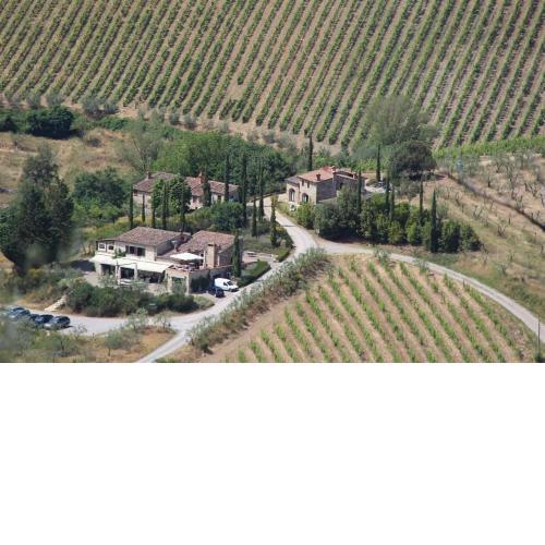 Nicchio