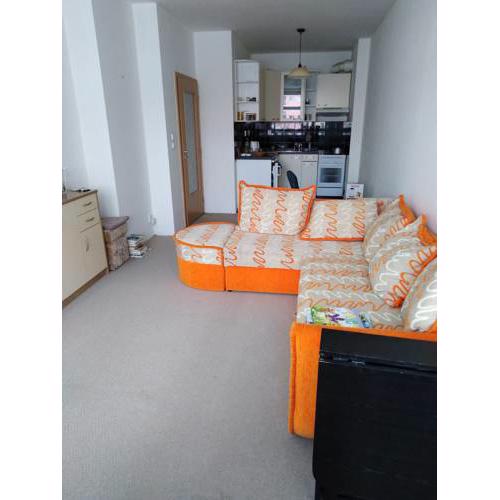 Nice and cosy apartment for a good price