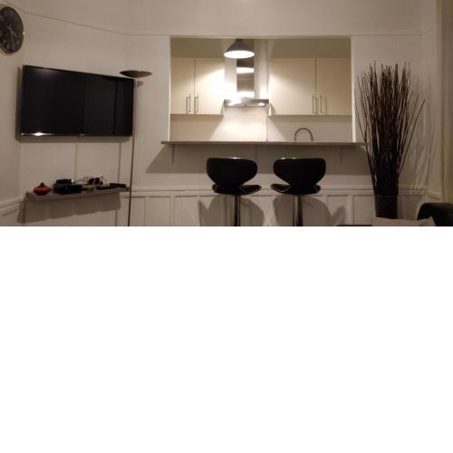 Nice and cozy 1b apartment in the heart of Paris