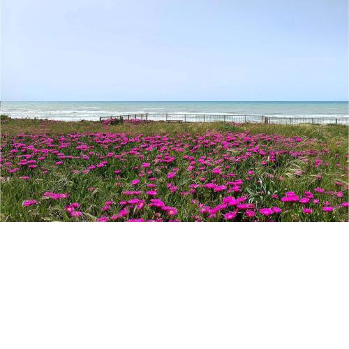 Nice apartment in Lido di Ostia with WiFi and 3 Bedrooms
