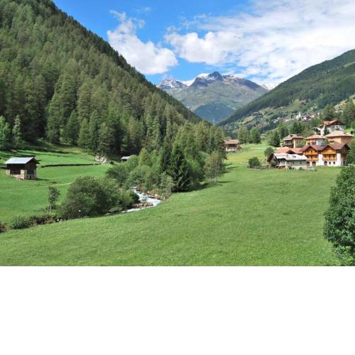 Nice apartment in Magras di Malè with spa