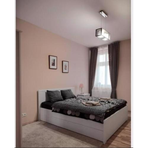 Nice apartment in Prague city center A