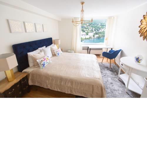 Nice apartment Montreux and Leman view