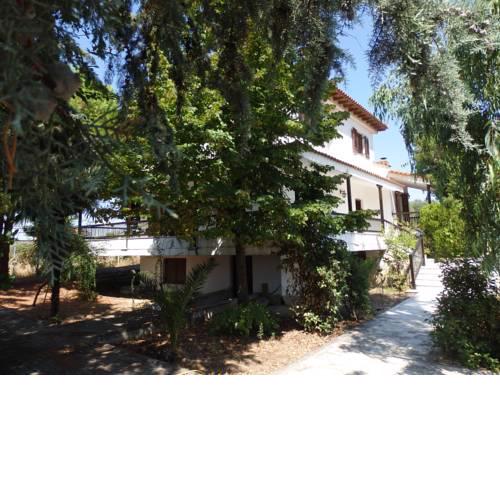 Nice family house near the beach