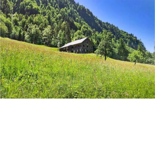 Nice Home In Sonntag With 3 Bedrooms