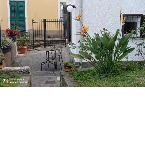 Nice nest for two S Margherita L. 010054-LT-0405