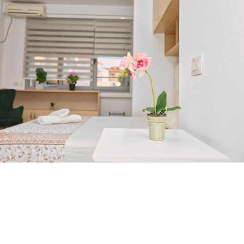 Nice & quite studio apartment in Tirana