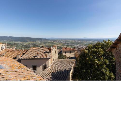 Nido del Pittore
