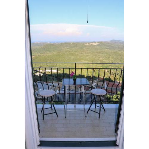 Nikolas view house
