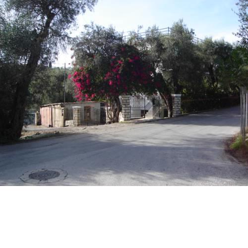 Nikoletta