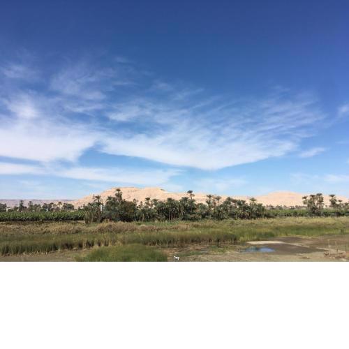NILE WIND