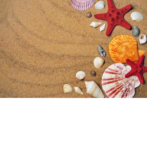 Nissi Elena - Seashell apartment