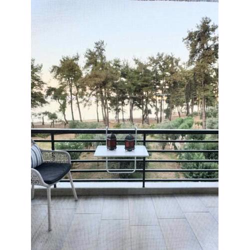 Nisteri Apartment