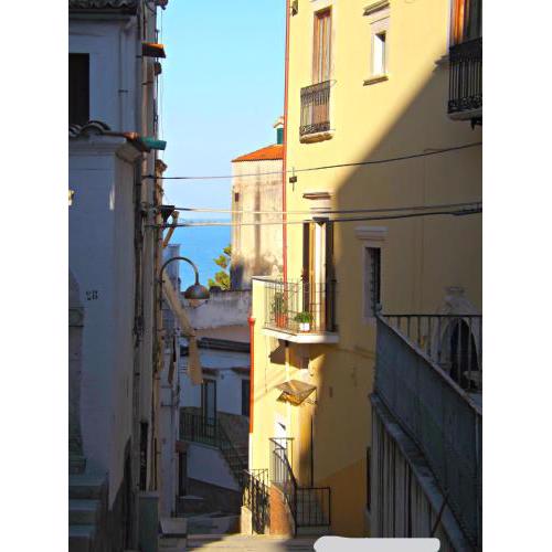 Nonna Libera monolocale