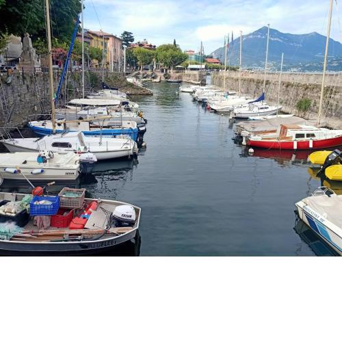 Nonno Meo