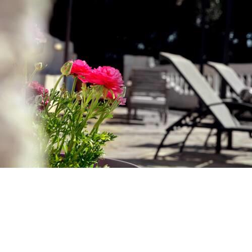 Nota apt 'vacation near the sea' 2