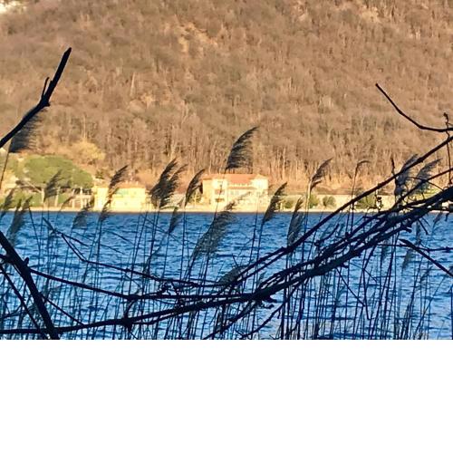 Notte sul Lago