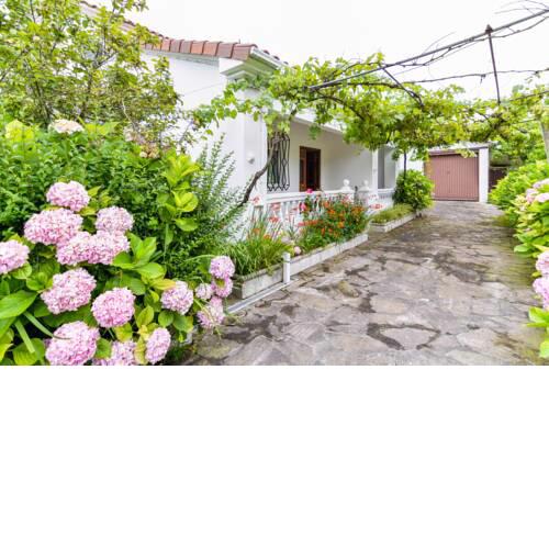 ¡Nueva! Casa espaciosa con gran parcela