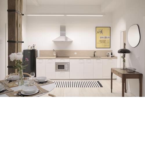 NUEVO Katu Kale Apartamentuak CENTRO HISTORICO