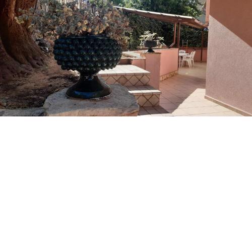 Oasi home