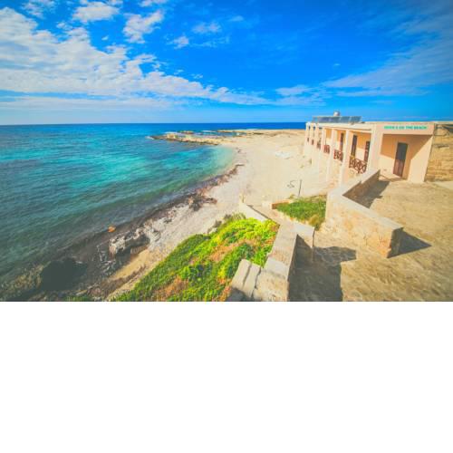 Oasis Beachfront Guest Rooms and Restaurant