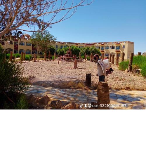 oasis panorama