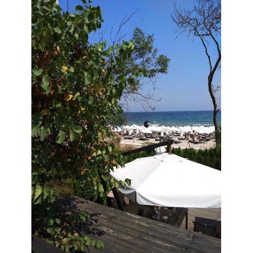 Oasis Resort & SPA studio 1