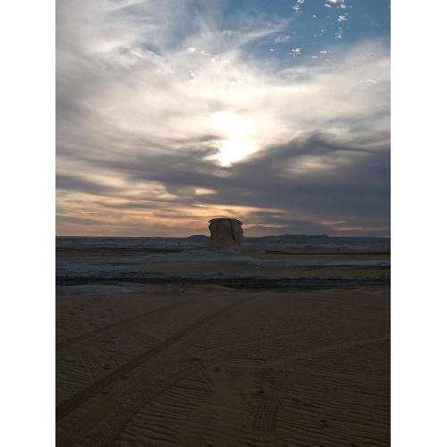 Oasis Safari Tours