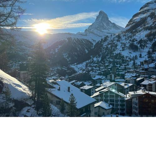 Oasis-Zermatt