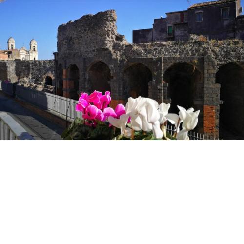 Odeon House - Catania - Short Lets - Parking included