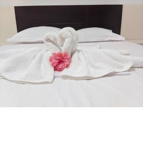 Ohanaa Apartament
